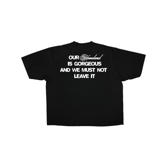 'Our Homeland is Gorgeous' Tee